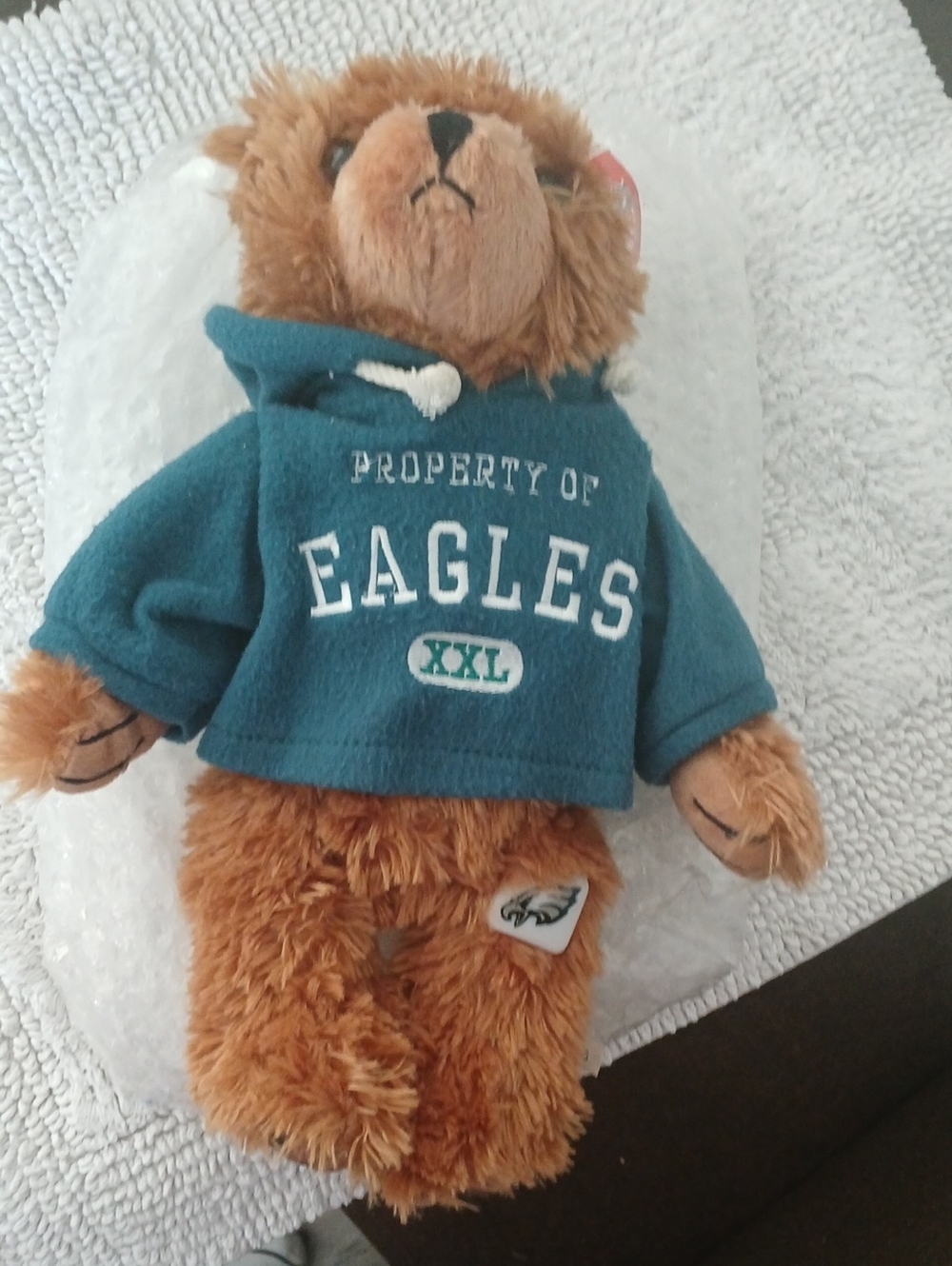 Eagles Teal Plush Bear Hoodie - Stuffed Animal